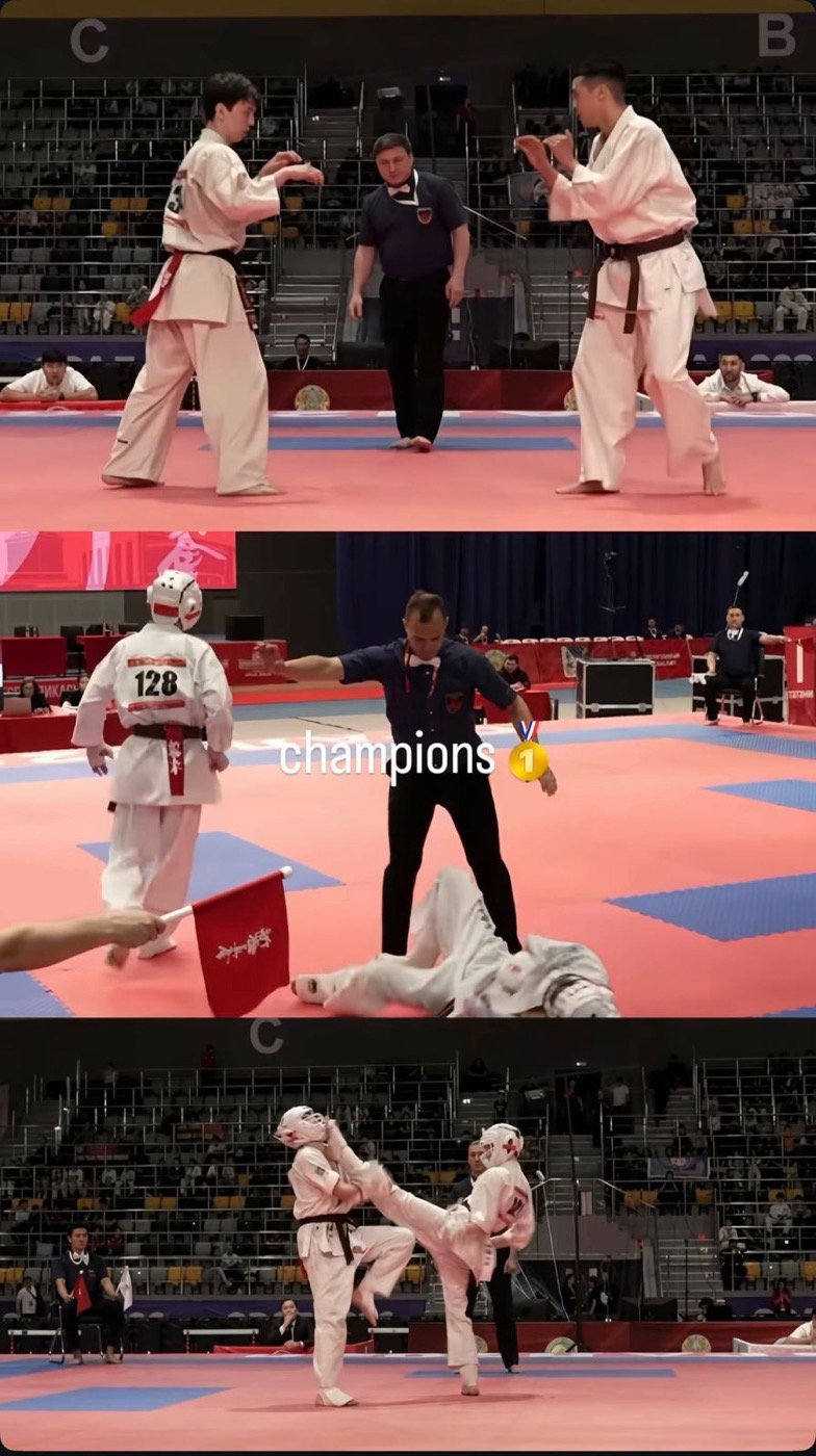 Shinkyokushin fight collage
